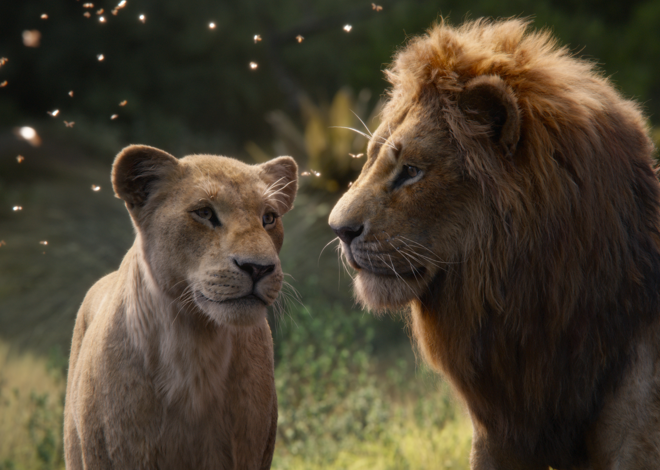 The Lion King Review: The enrapturing visual effects is the true king in Donald Glover and Beyonce's film