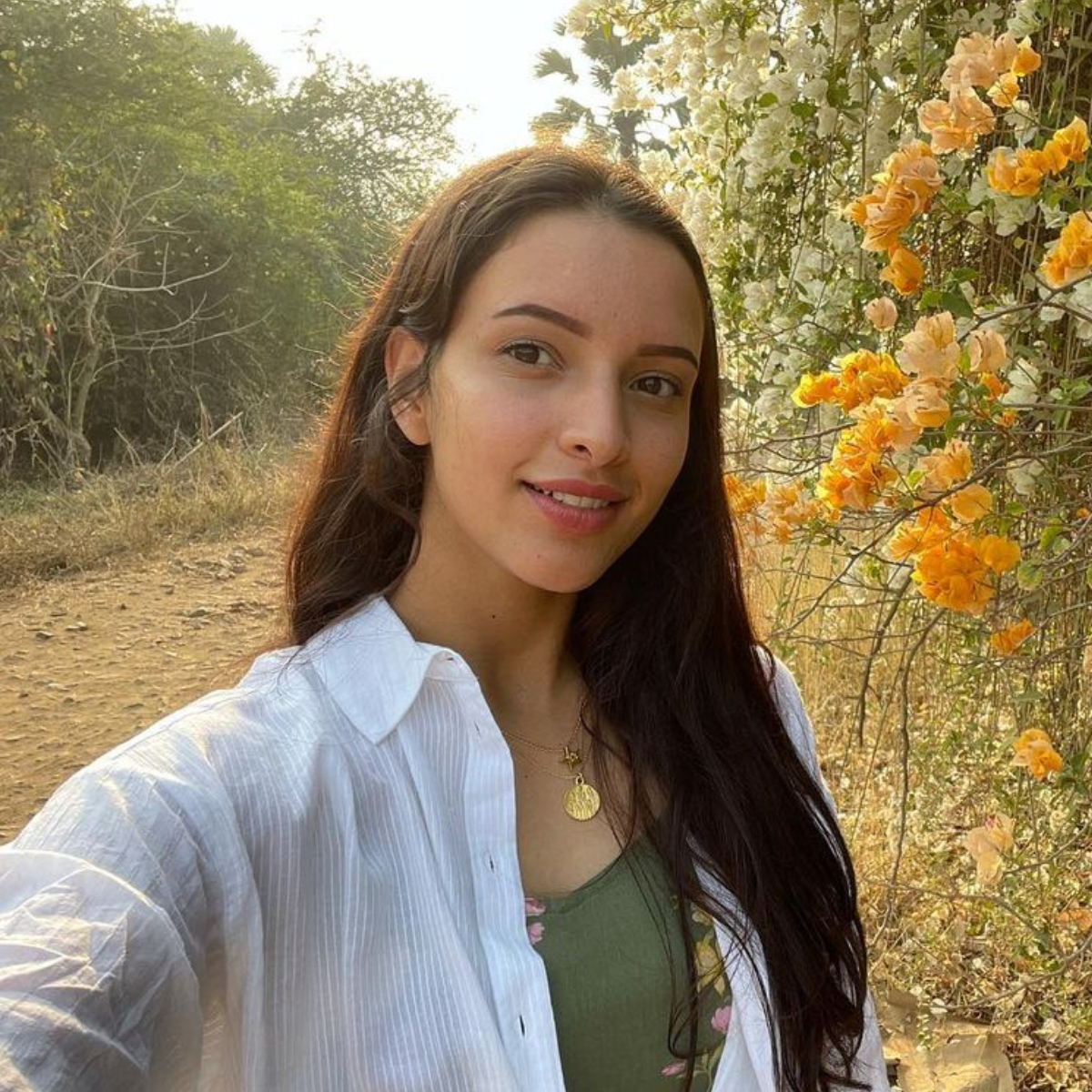 Tripti Dimri joins Shahid Kapoor for Sujoy Ghosh’s next