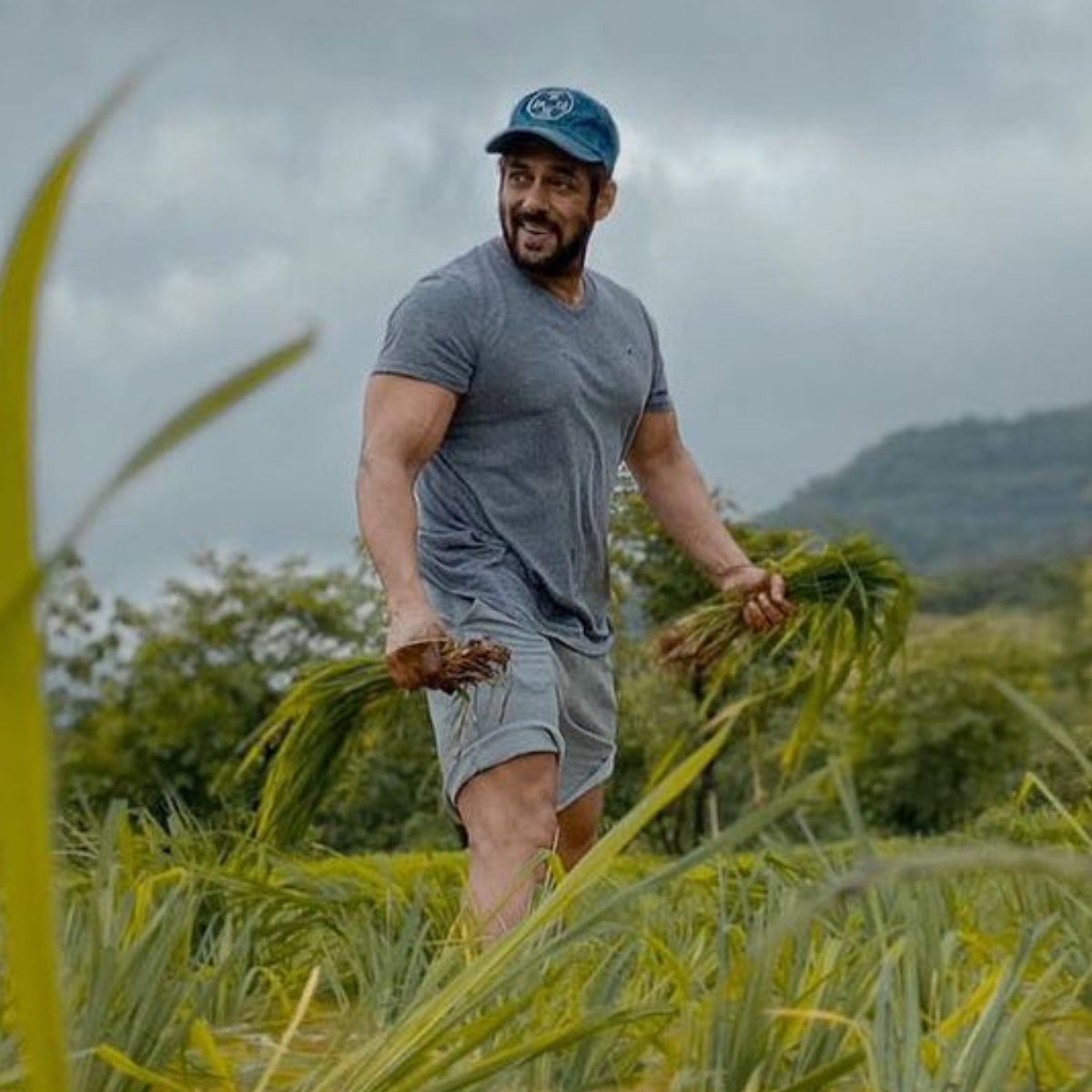 What stars look out for while house hunting? ‘A yesteryear actor wanted a place like Salman Khan’s farmhouse’ (Photo Credit: Salman Khan/Instagram) Salman Khan