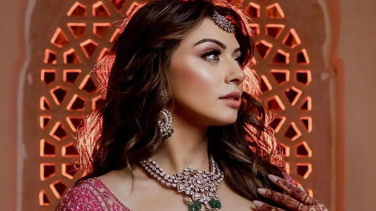Hansika Motwani's wedding festivities Photo Courtesy: (Hansika Motwani Instagram)