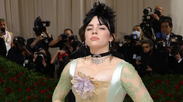 Billie Eilish was slut-shamed for having big boobs