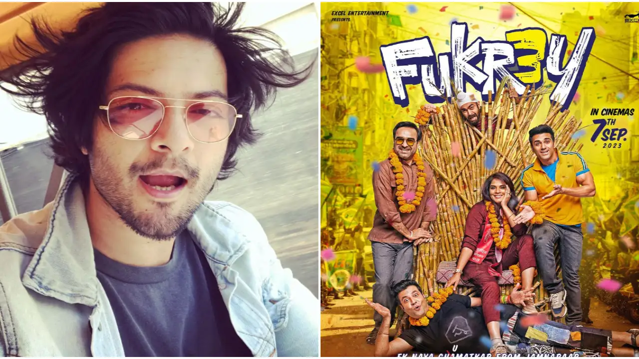 Ali Fazal FINALLY breaks silence on his absence from Fukrey 3