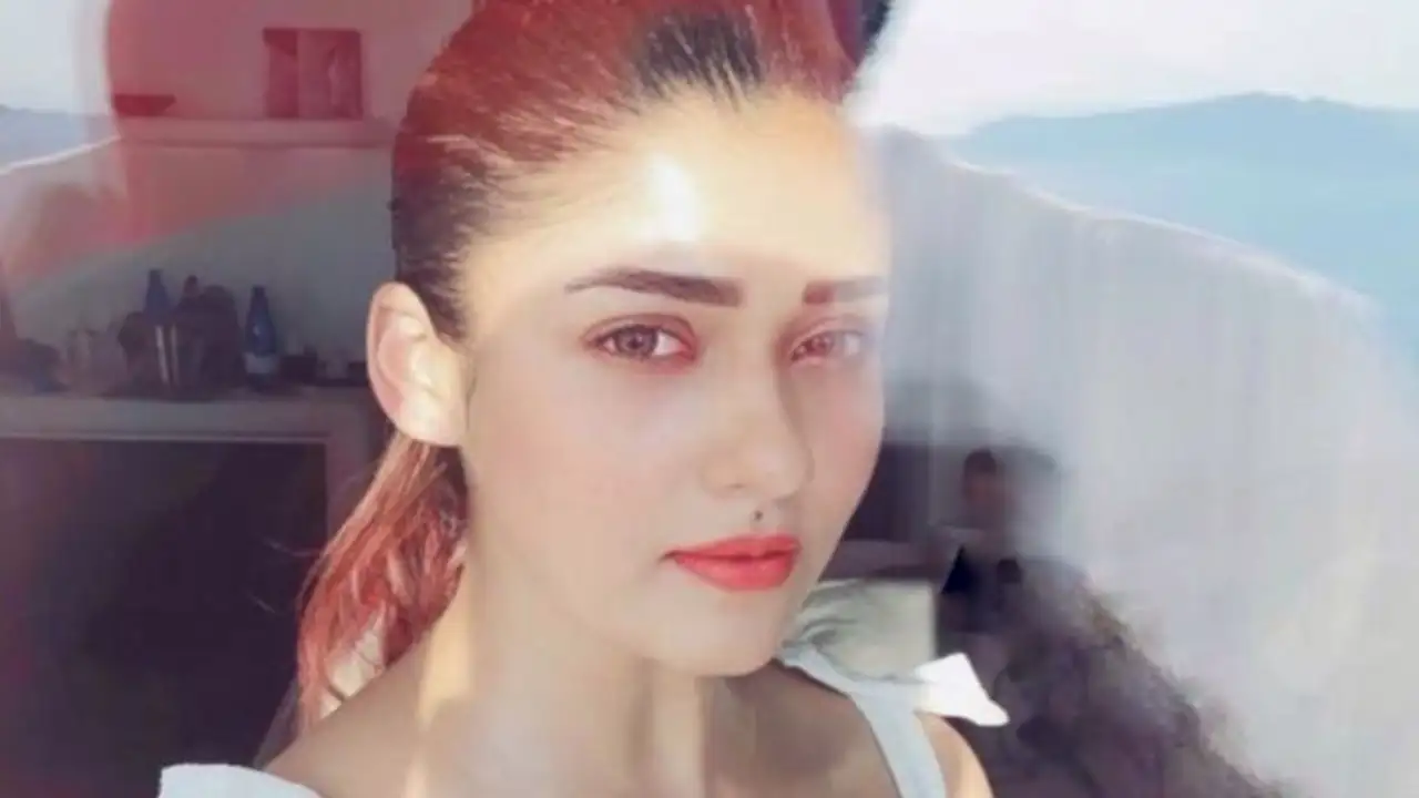 7 BIG statements by Nayanthara about Bollywood debut with Shah Rukh Khan, Cross over of South-Hindi cinema 7 BIG statements by Nayanthara