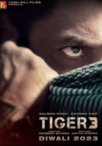 Tiger 3 2023 movie