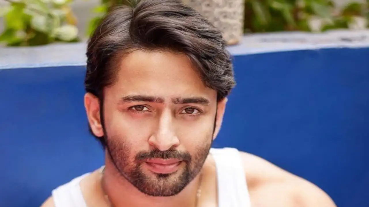 Shaheer Sheikh