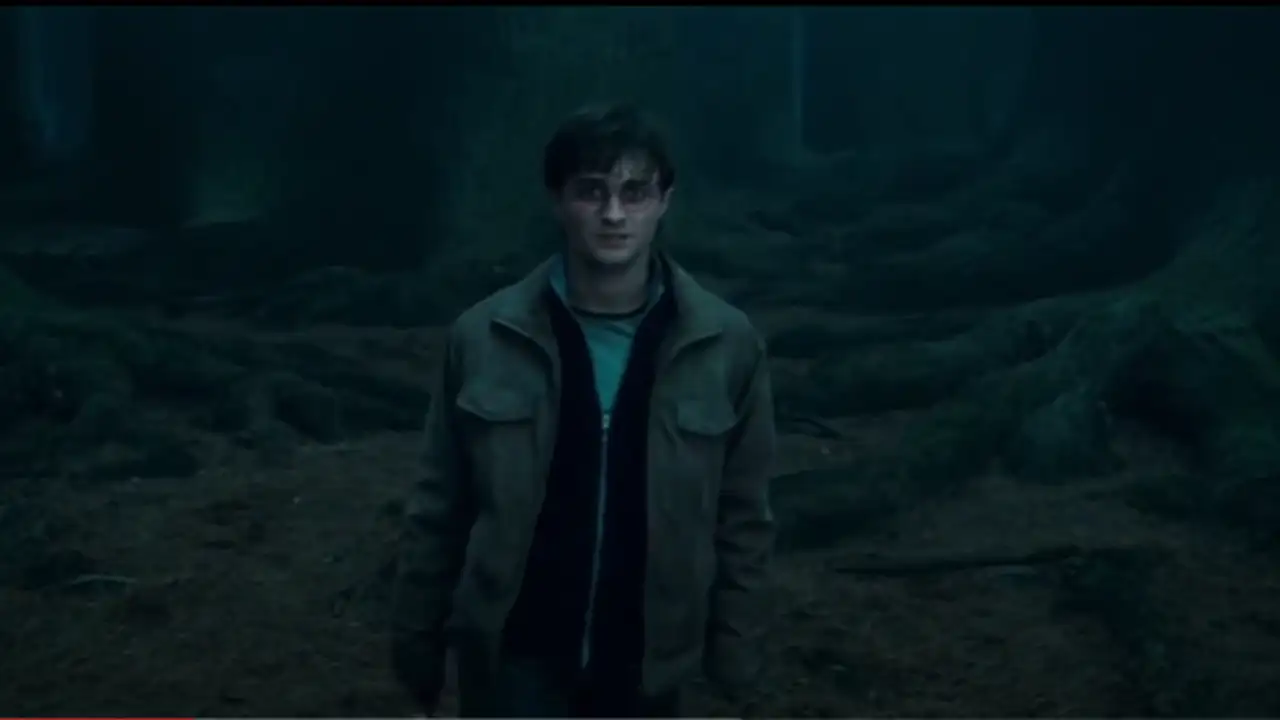 Daniel Radcliffe in Harry Potter 