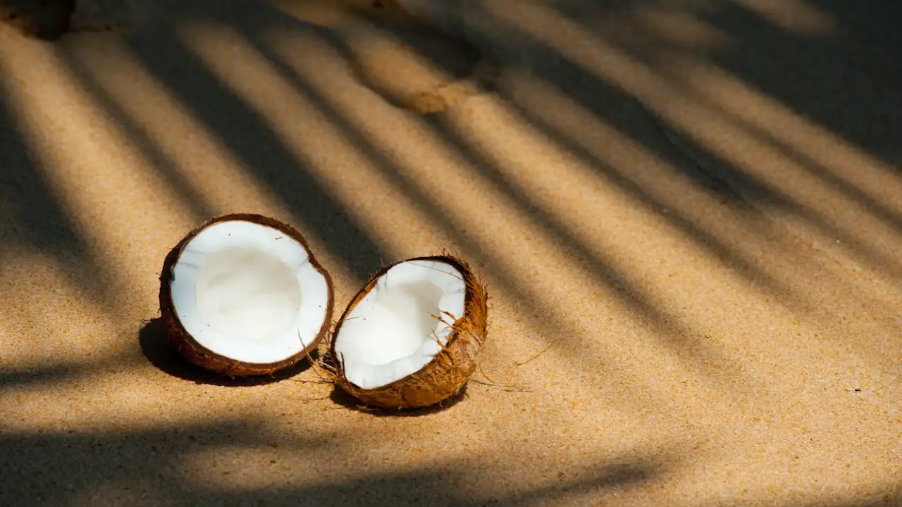 10 Disadvantages of Coconut Water That You Should Know