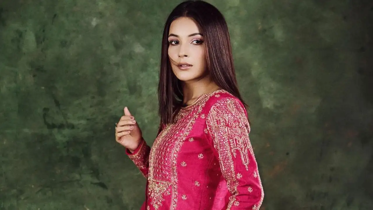 Shehnaaz Gill's gorgeous pink sharara set worn at Arpita Khan's Eid party  can sponsor your next mini vacay | PINKVILLA