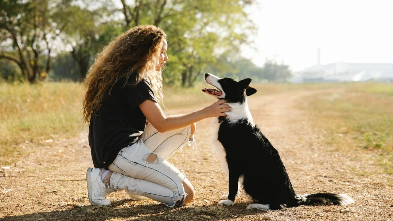 Zodiac Signs Who Are Most Likely to Foster Stray Animals
