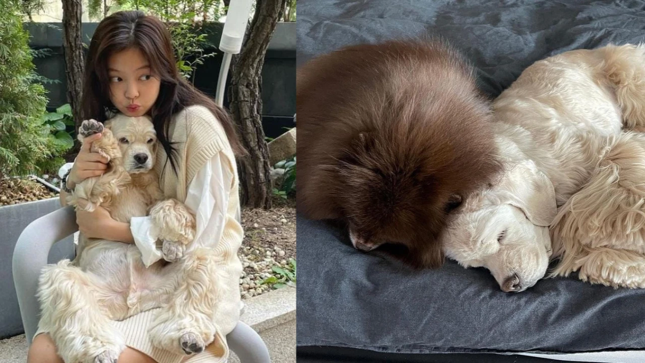 BLACKPINK's Jennie recalls tragic loss of her beloved family dog Kai: Kuma would mimic everything