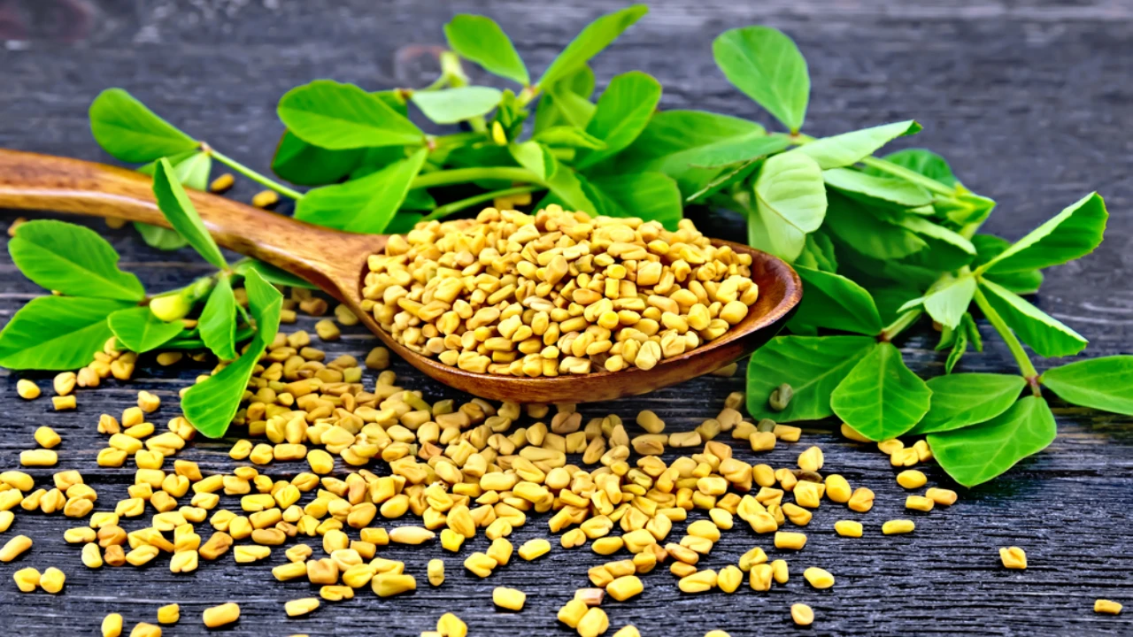Unlock Fenugreek Benefits: The Superfood You Need in Your Diet