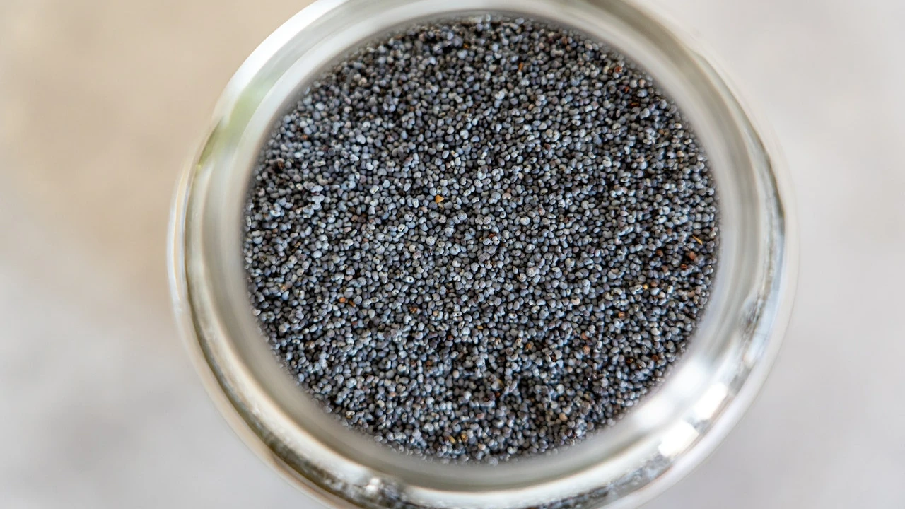Benefits of Poppy Seeds Benefits of Poppy Seeds