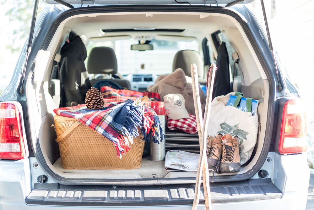 picnic ideas for couples