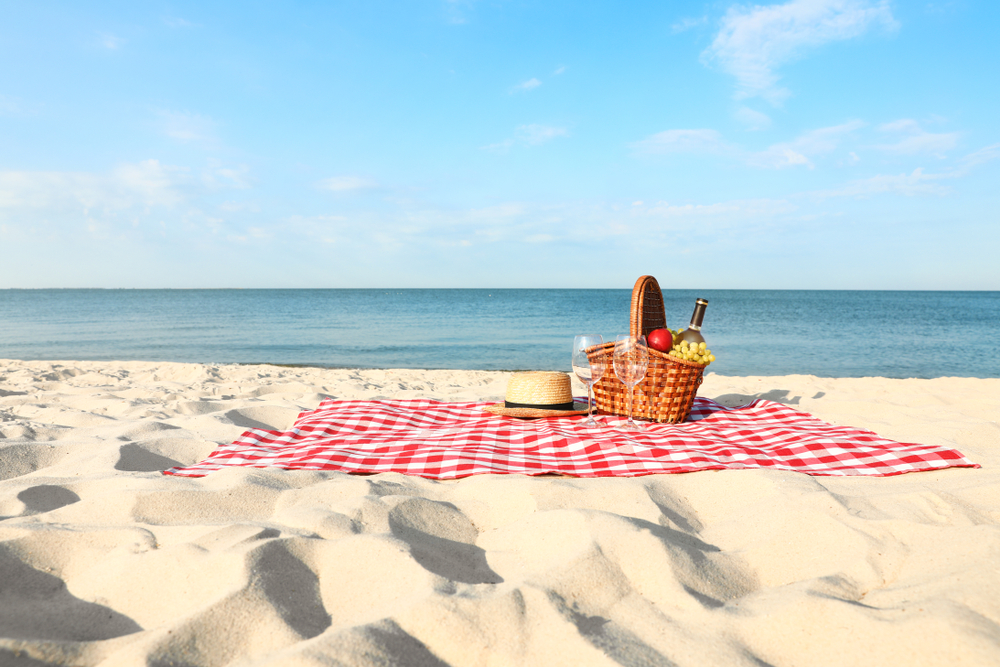 picnic ideas for couples