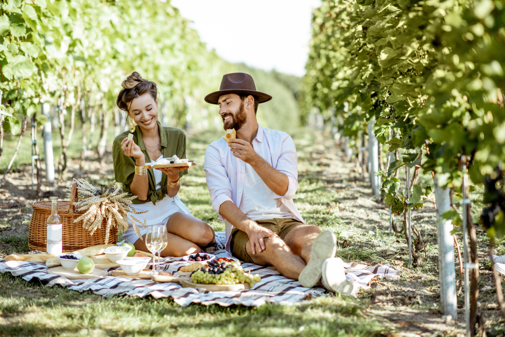 picnic ideas for couples