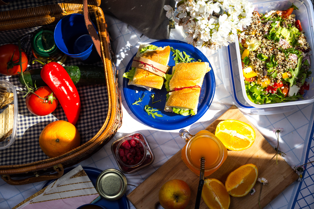 picnic ideas for couples