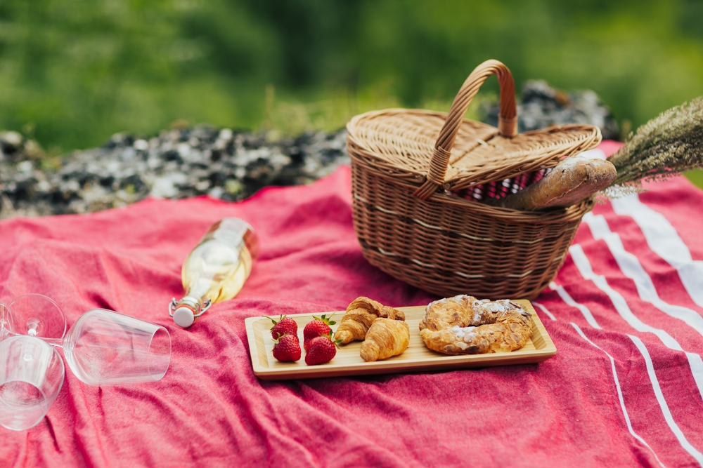 picnic ideas for couples