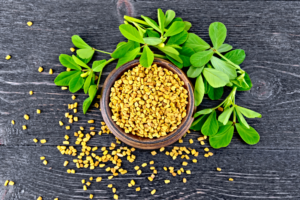 Nutrition Facts of Fenugreek Nutrition Facts of Fenugreek