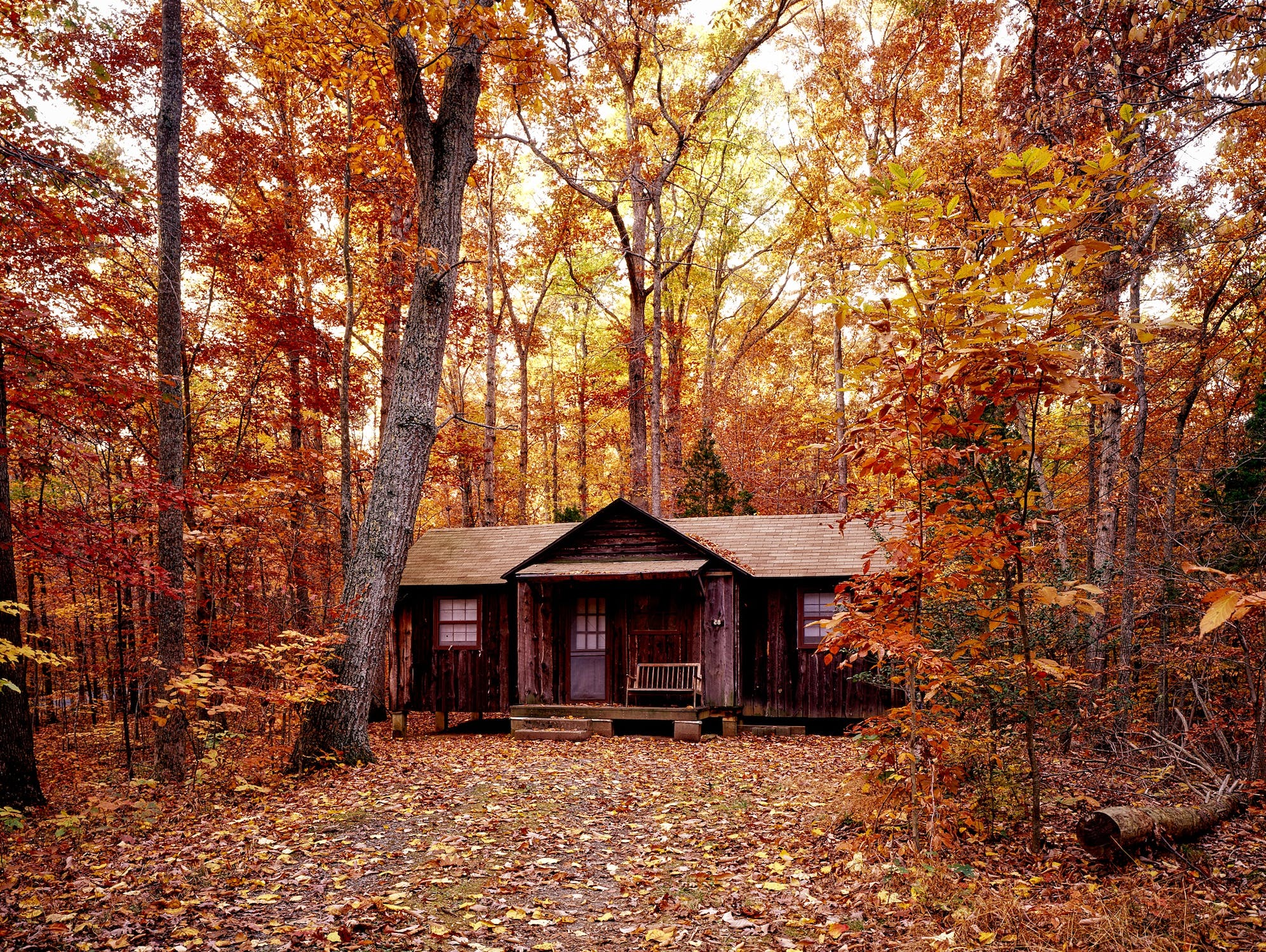  fall date ideas