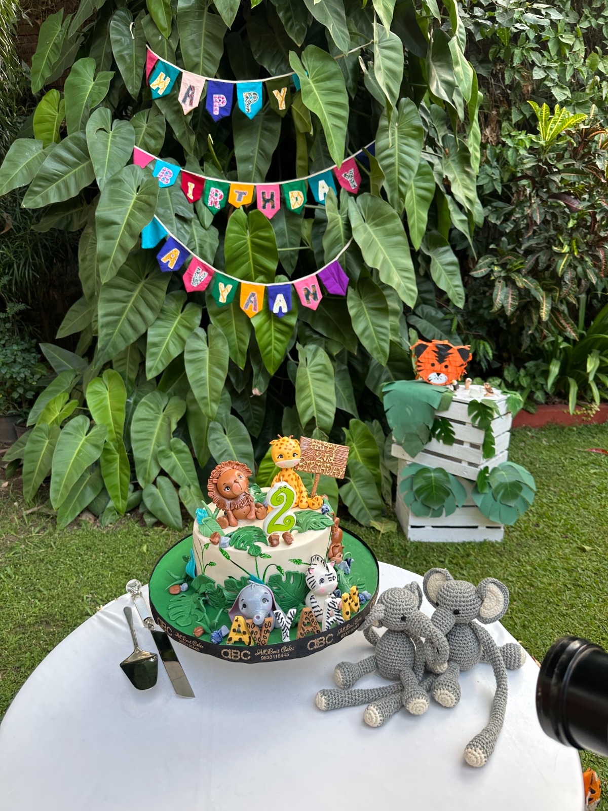 Avyaan's birthday party