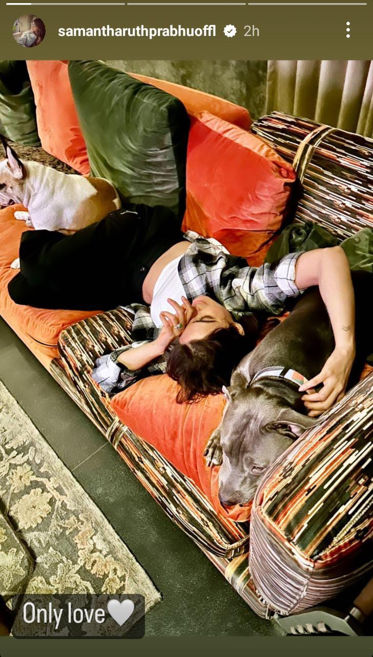 Samantha Ruth Prabhu's Monday is all about spending time with her pets, enjoying dessert and self care at salon