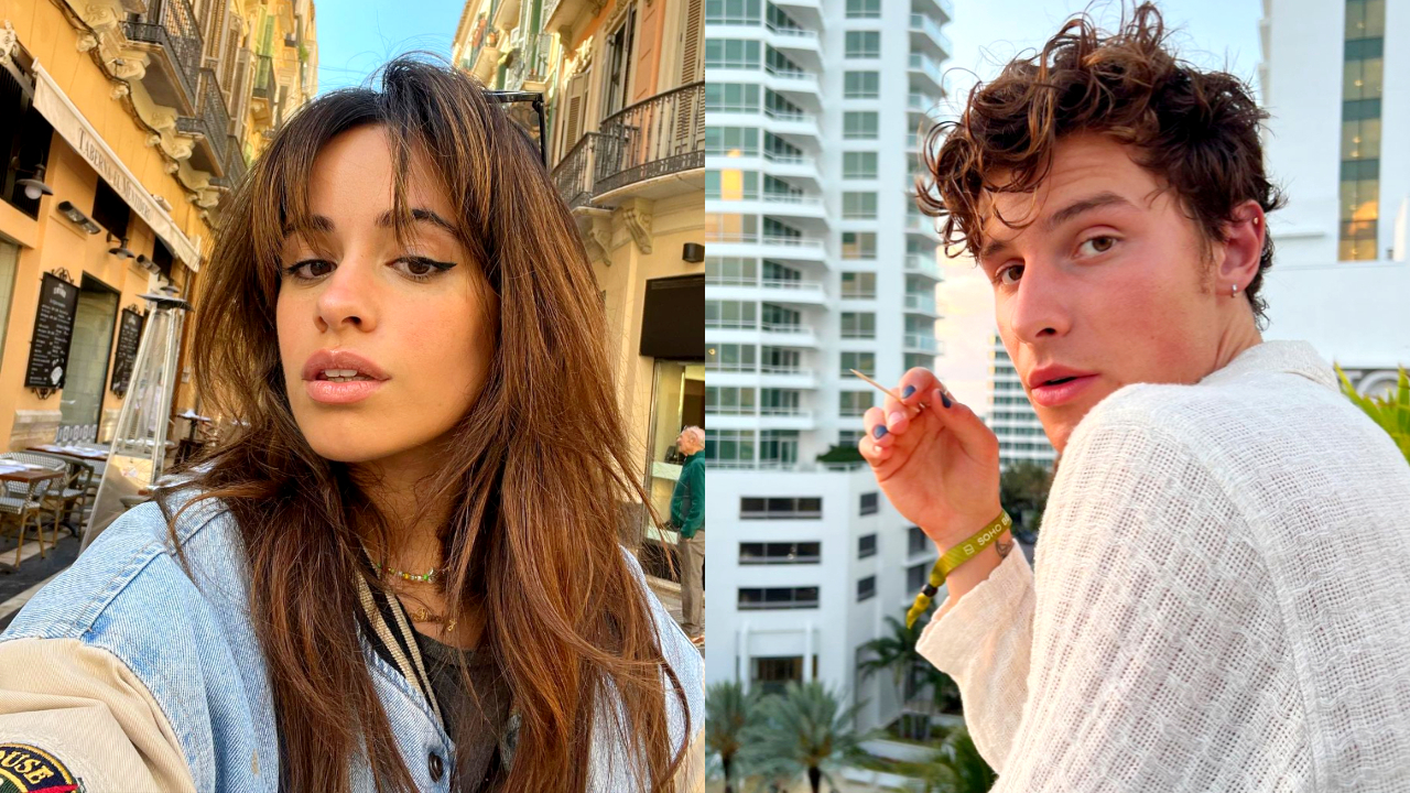 Camila Cabello và Shawn Mendes (Ảnh: Camila Cabello, Shawn Mendes Instagram)
