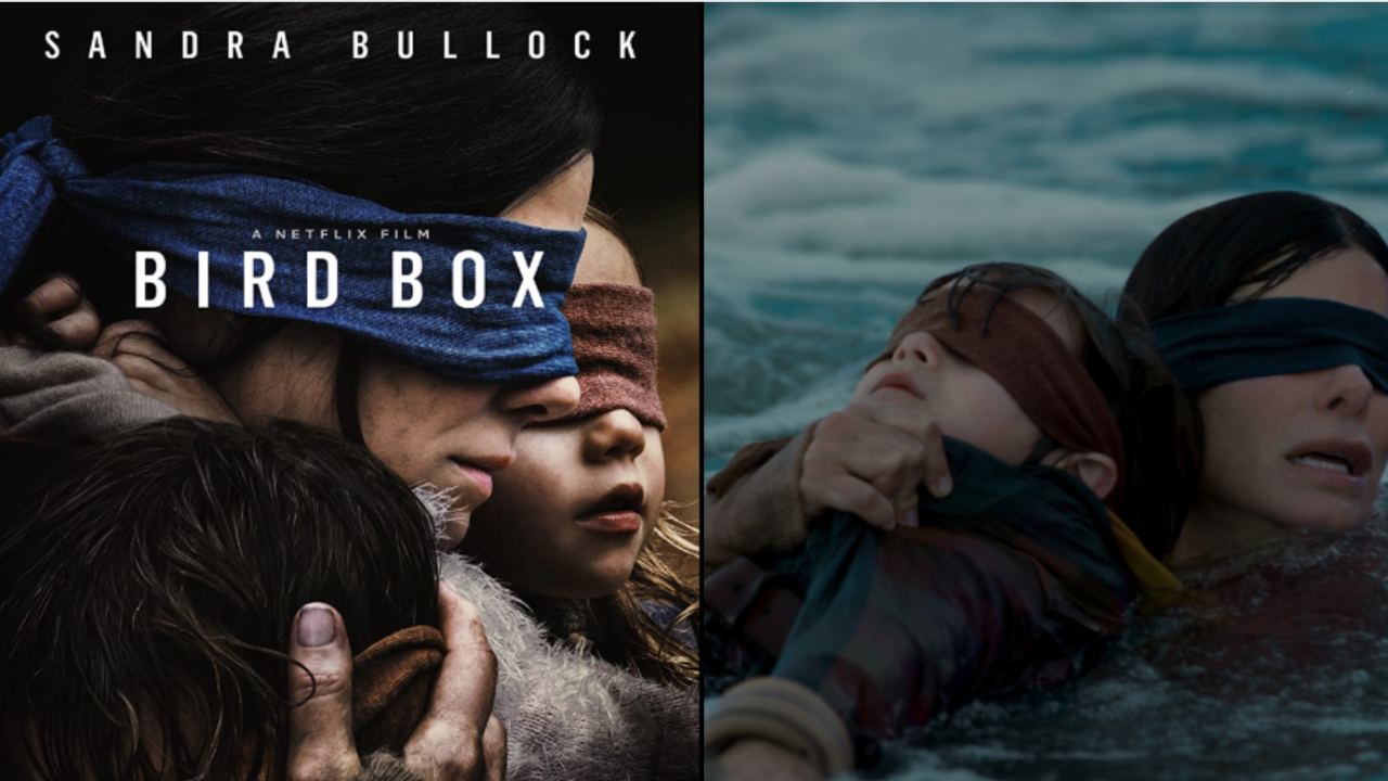 Bird Box - 2018 (Pic credit - IMDb)