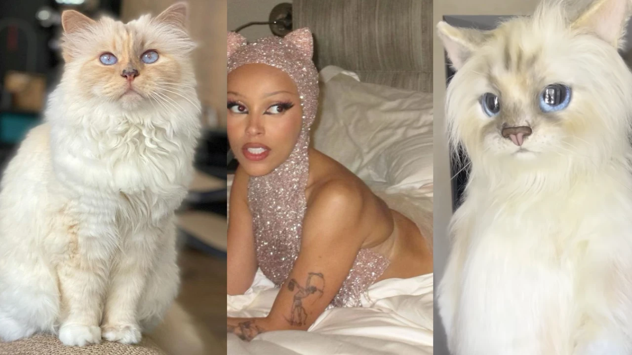 circulatie steeg paling Met Gala 2023: Karl Lagerfeld's cat Choupette reacts to Jared Leto, Doja  Cat's outfits in her honor | PINKVILLA