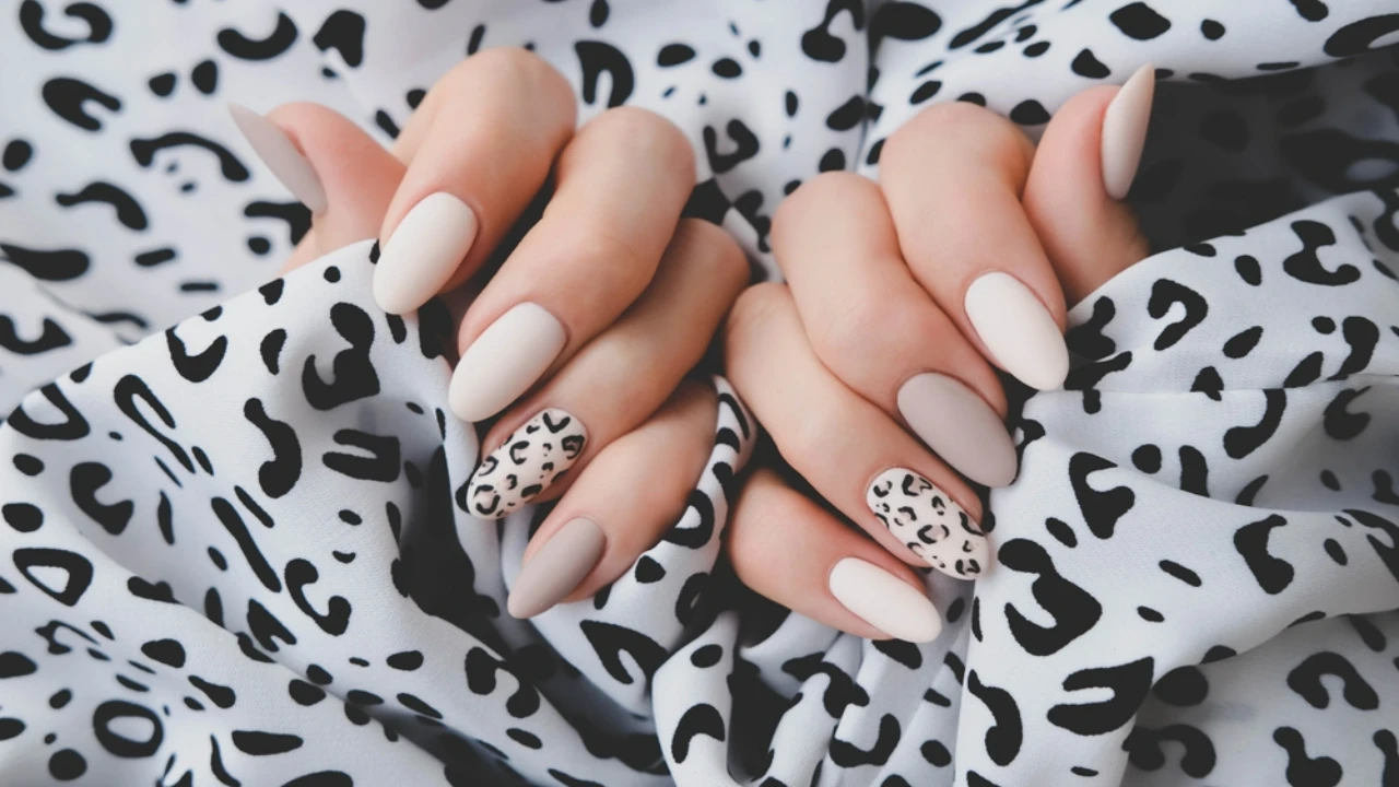 25+ Cow Print Nail Ideas: Moo-tiful Manicure for Your Trendy Tips