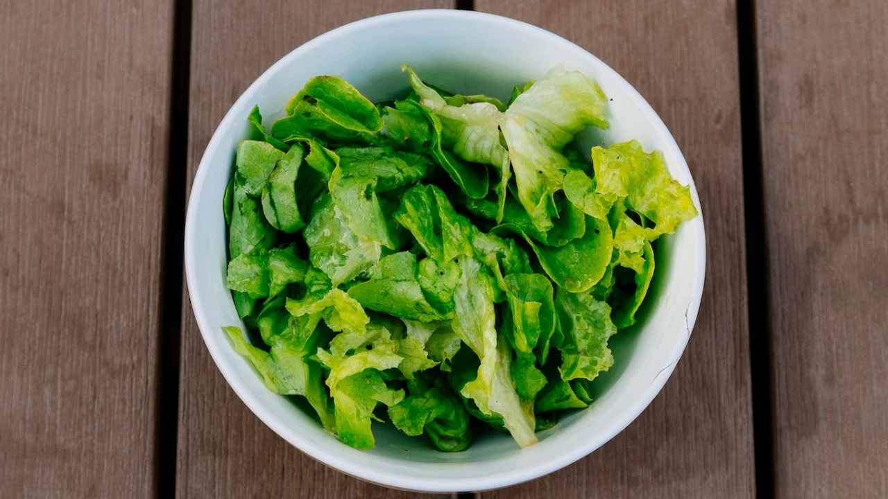 Top 20 Impressive Benefits of Lettuce for Health, Skin, And Hair