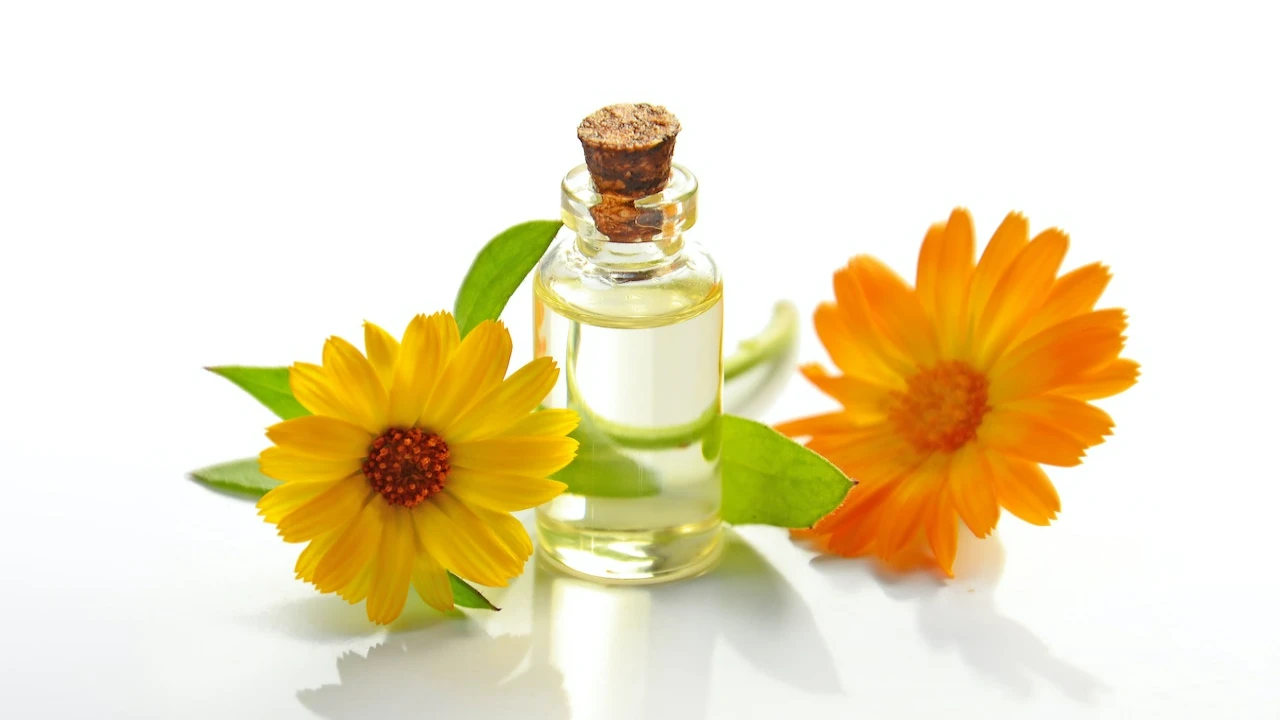 Sunflower Oil For Hair: The Secret to Healthy And Strong Mane