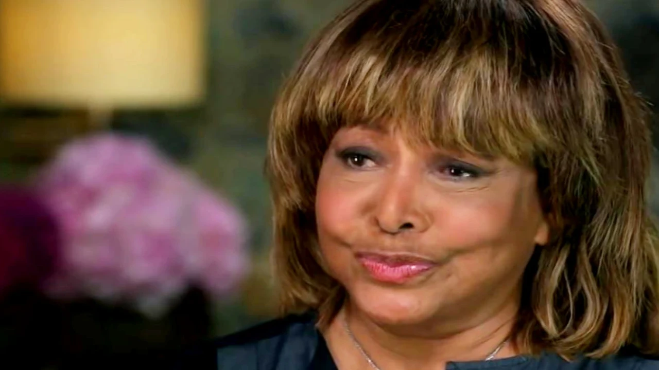Tina Turner pinkviila
