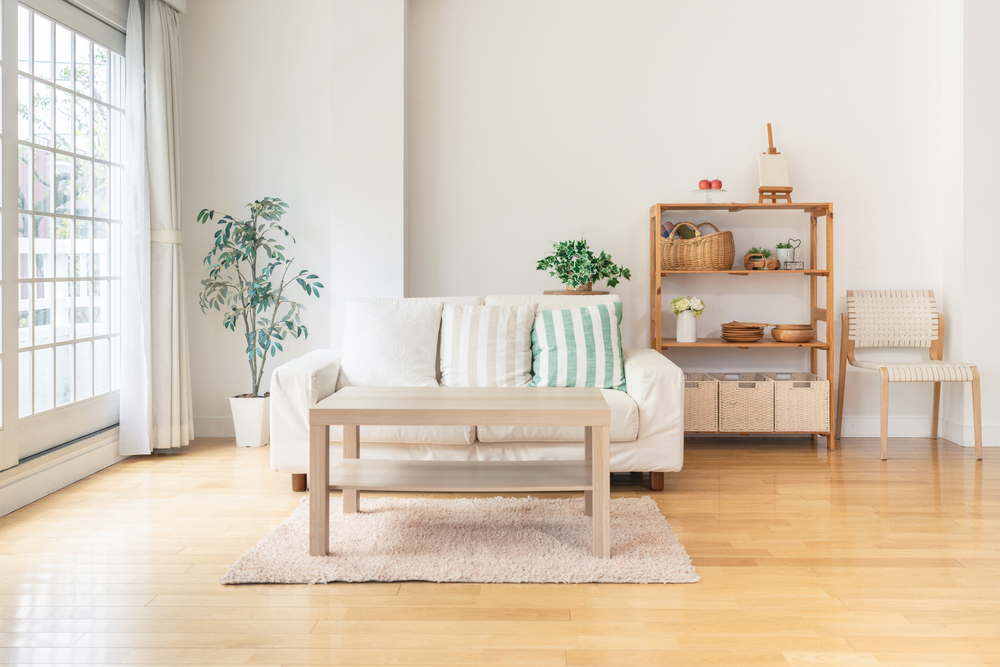 small apartment living room ideas