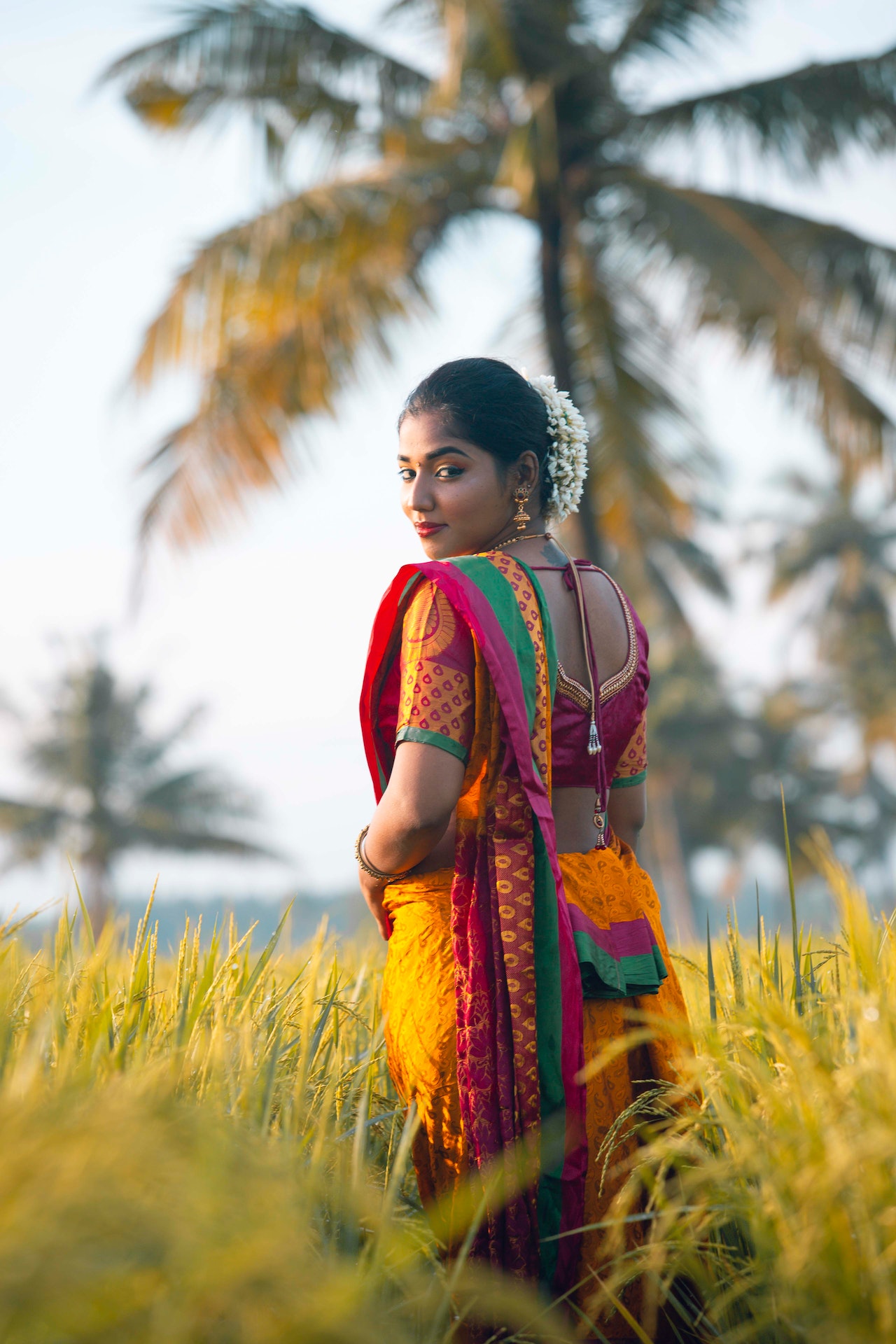 Amazing saree blouse designs