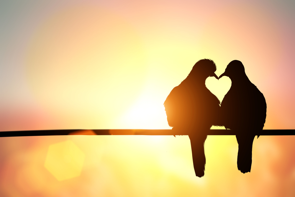 Facts About Love
