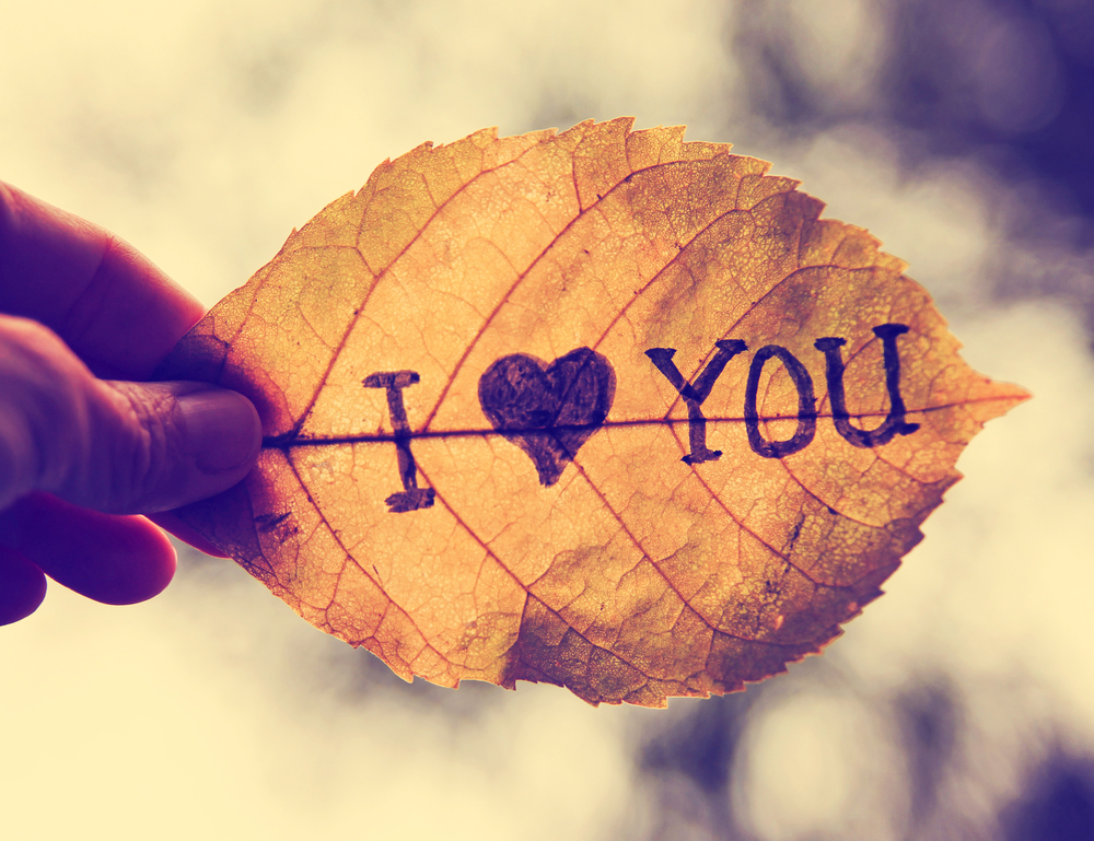 Facts About Love
