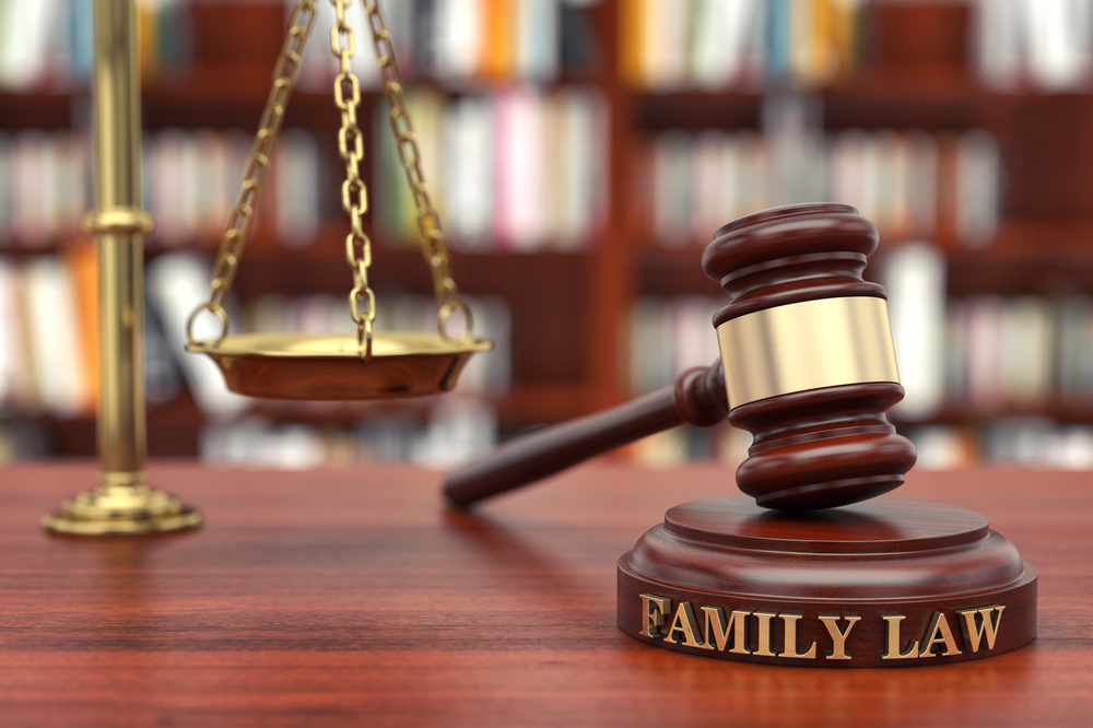 Sole legal custody
