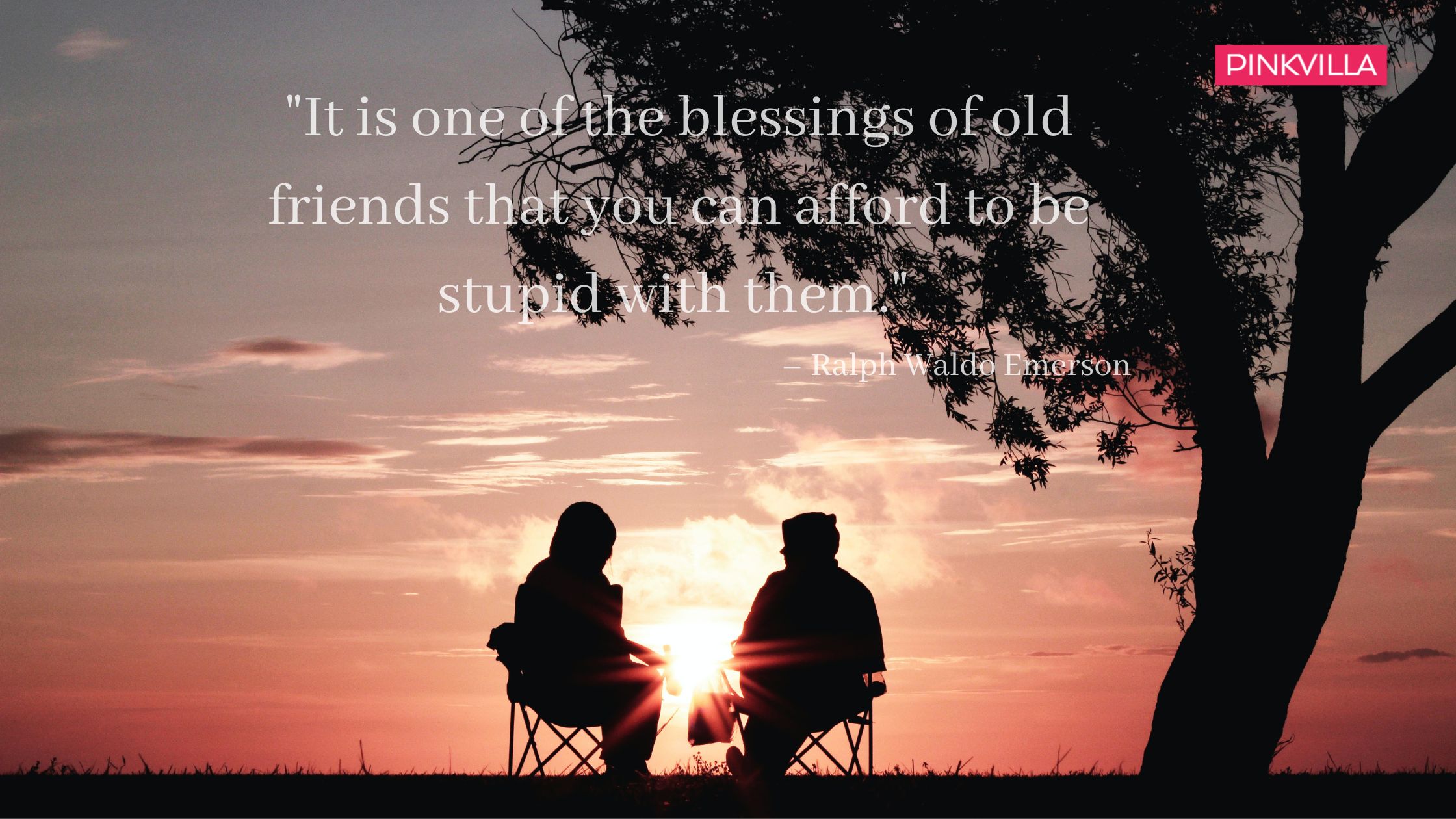 Funny Miss You Quotes for Friends