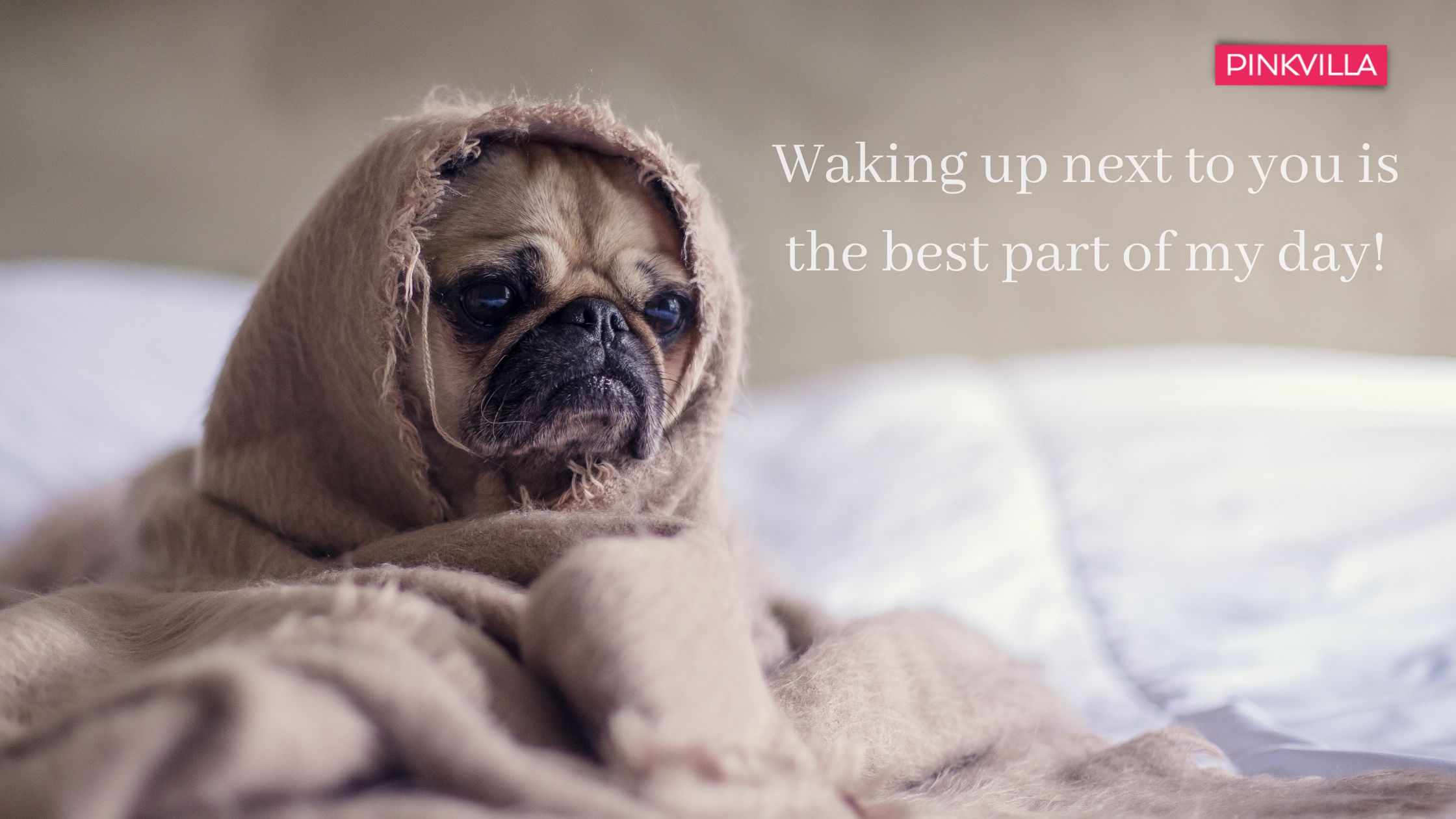 cute ways to say good morning