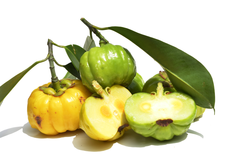 Garcinia Cambogia