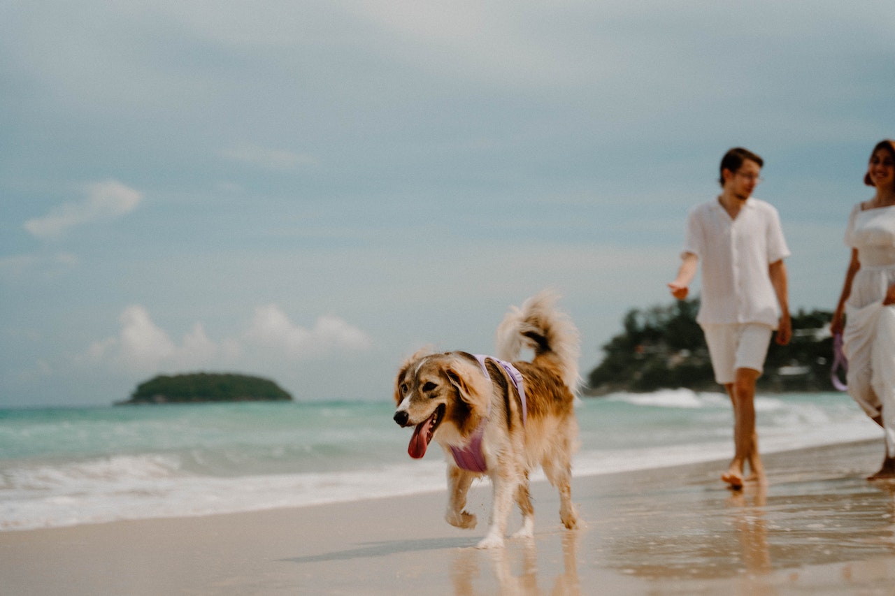 51 Beach Date Ideas to Spice Up Your Relationship