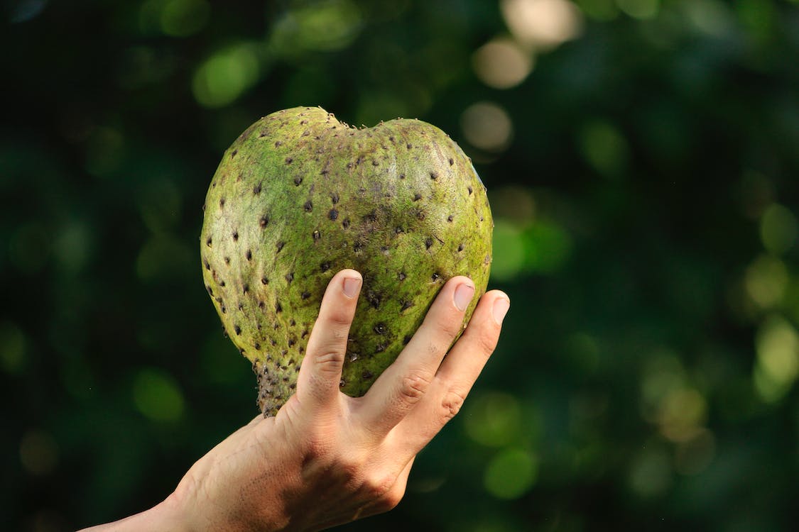 Cách Chọn Và Bảo Quản Mãng Cầu Xiêm