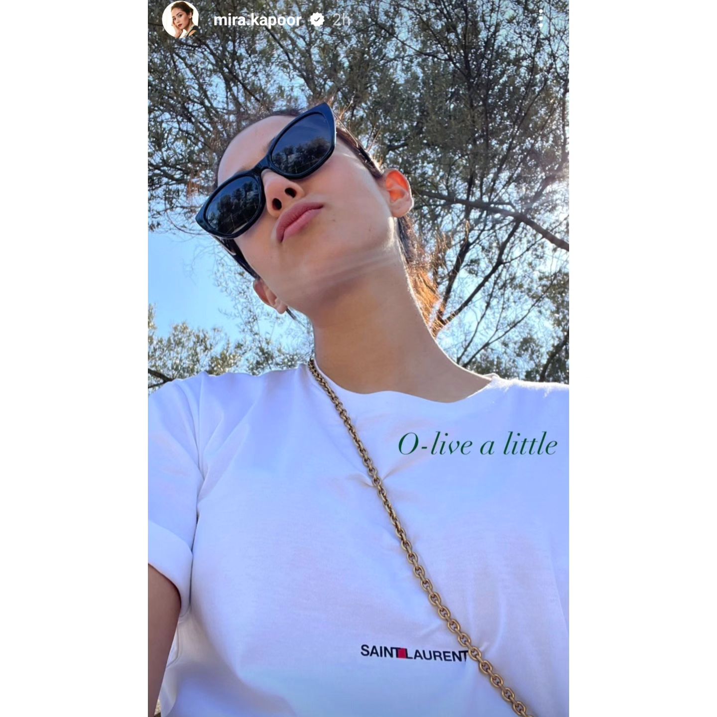 Câu chuyện trên Instagram của Mira Rajput