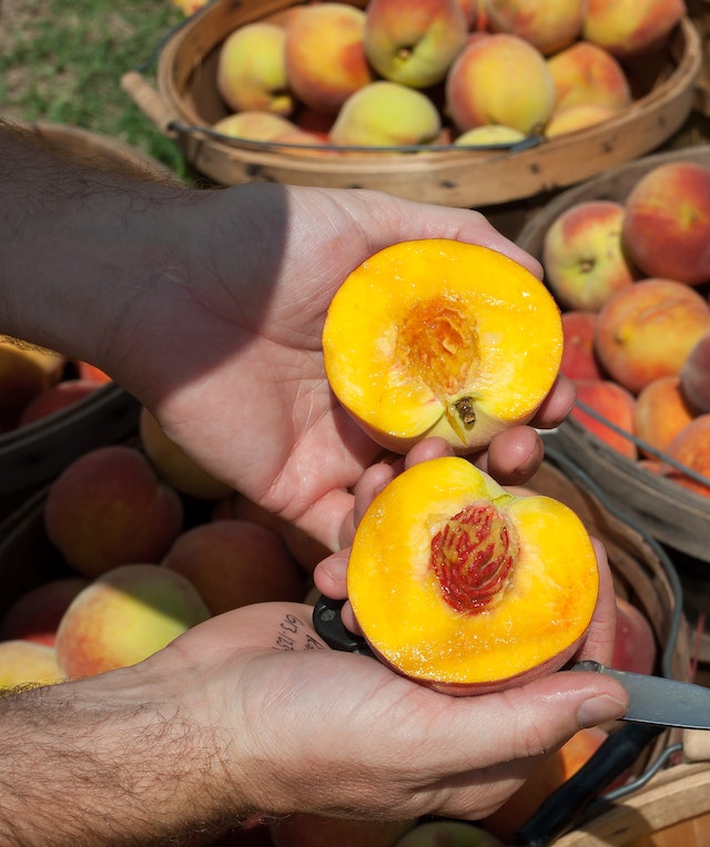 12 Amazing Benefits Of Peaches