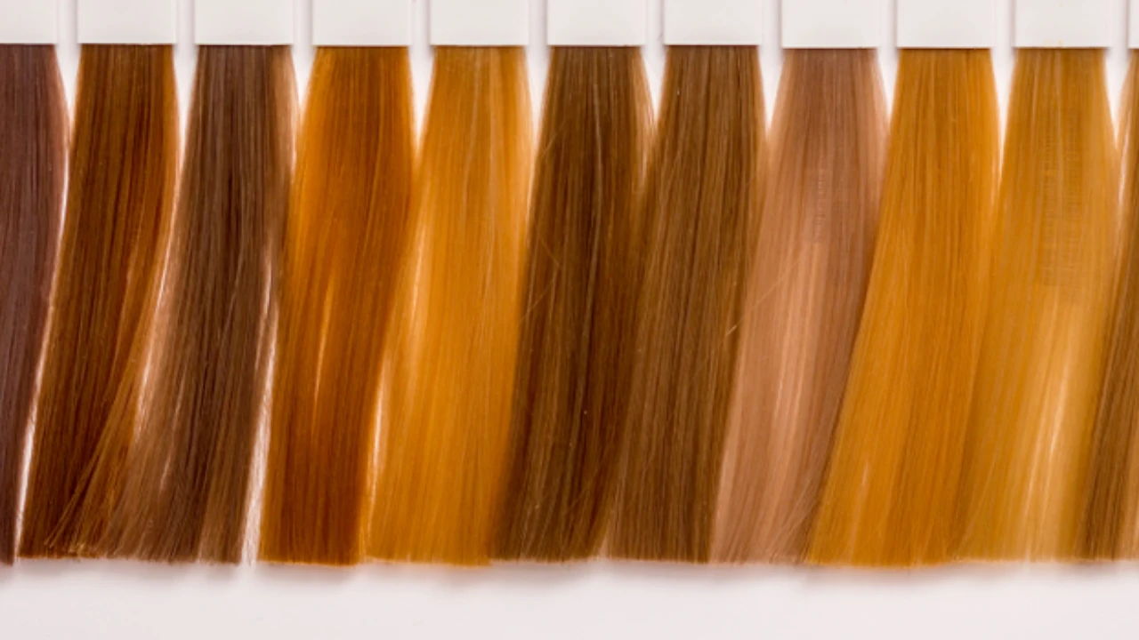  Shades Of Brown Hair Color