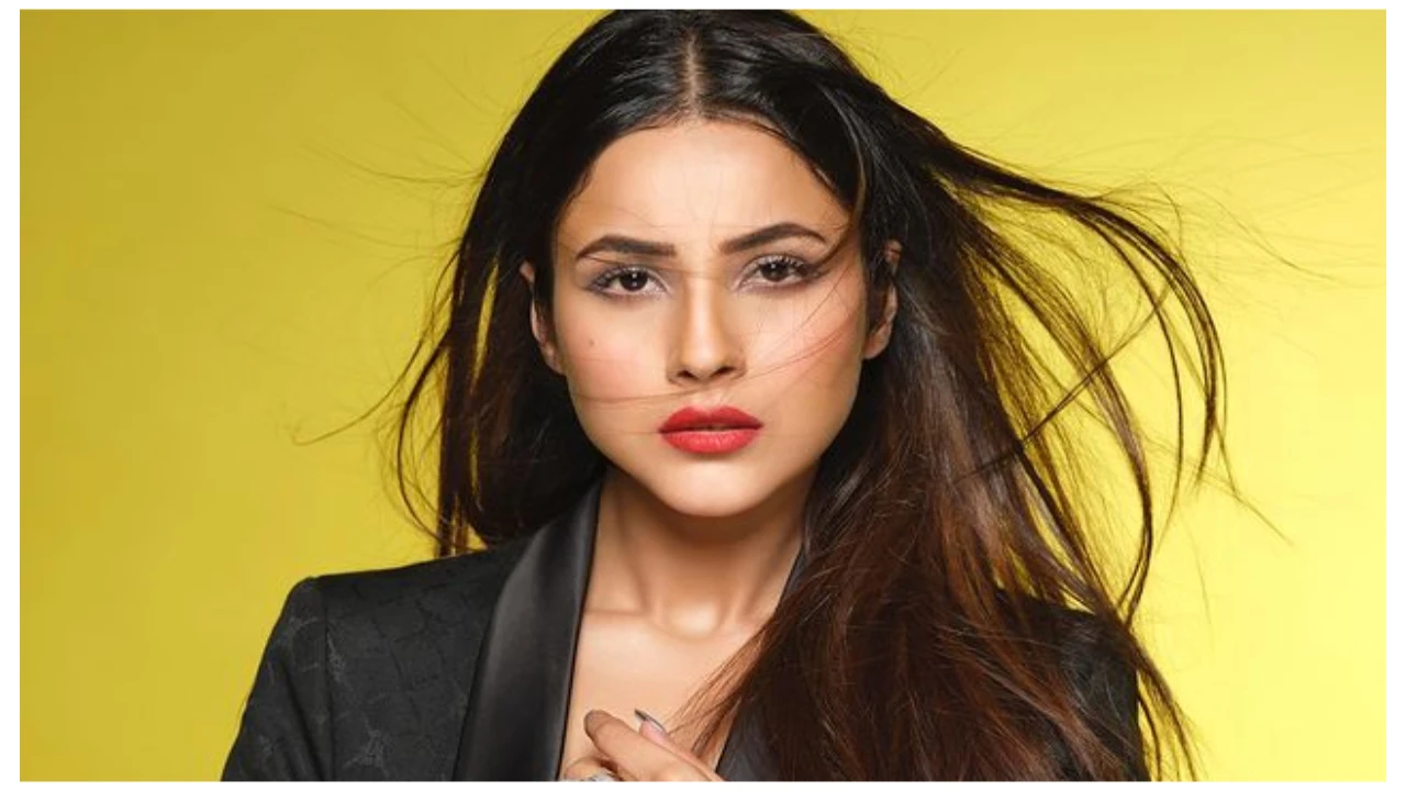 Shehnaaz Gill teaches how to ace black like a boss Shehnaaz-Gill-black-style-bollywood-fashion