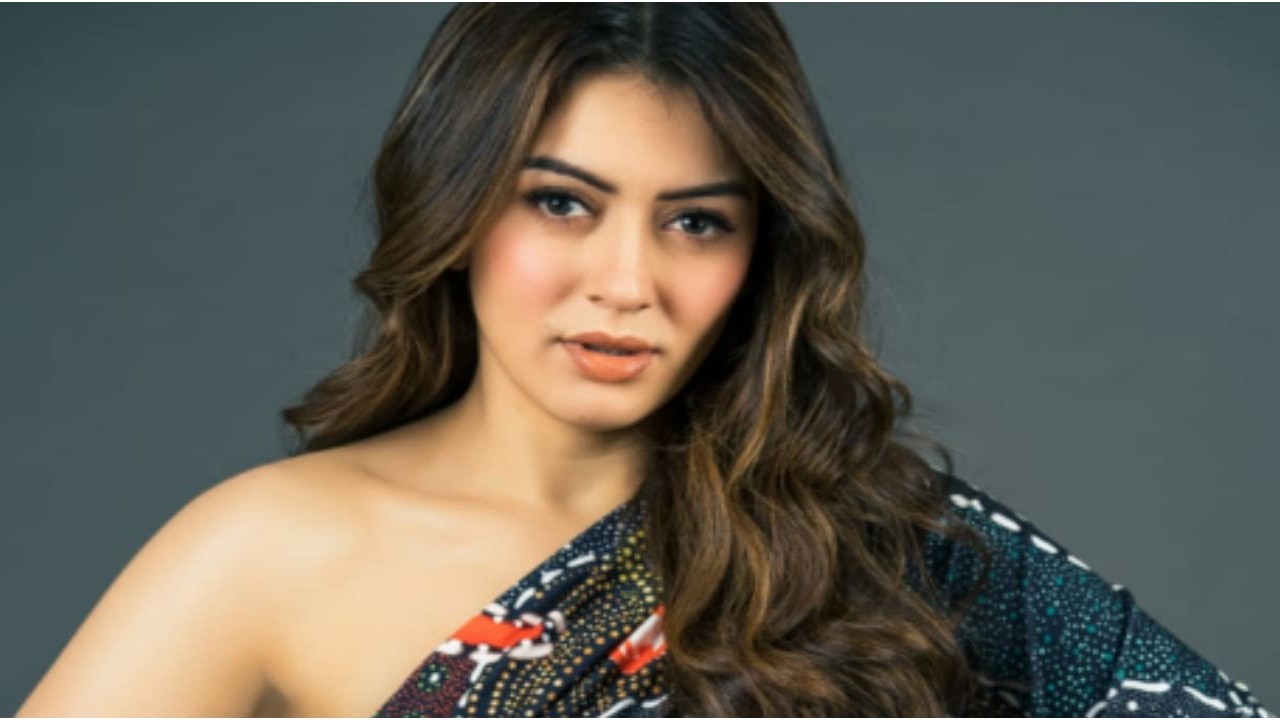 Robo Shankar's controversial remarks on Hansika Motwani: She didn't let me touch her leg but... (PC; Hansika Motwani Instagram) Hansika Motwani Instagram