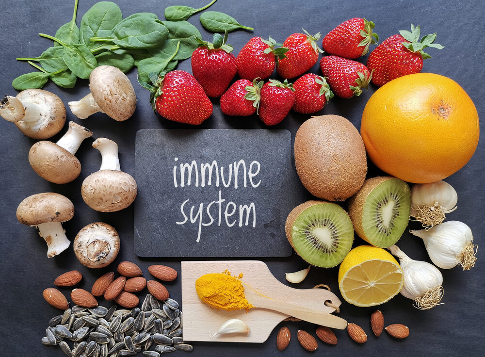 How to Increase White Blood Cells and Supercharge Your Defenses PINKVILLA
