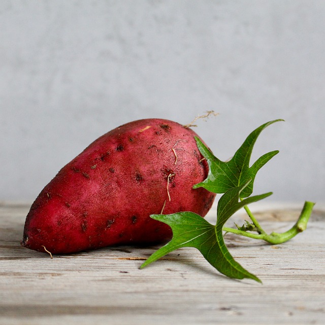 Sweet Potato Oxygen-rich Foods to Level Up Your Diet Sweet Potato Oxygen-rich Foods to Level Up Your Diet