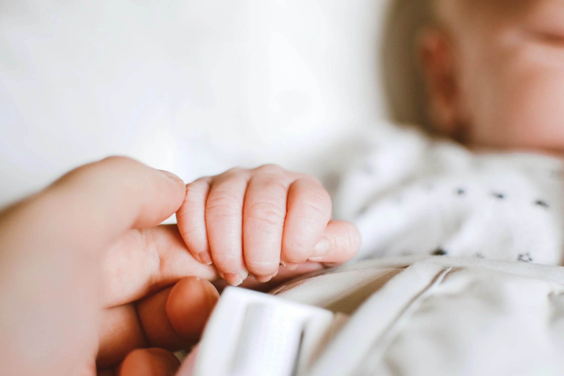 godmother quotes